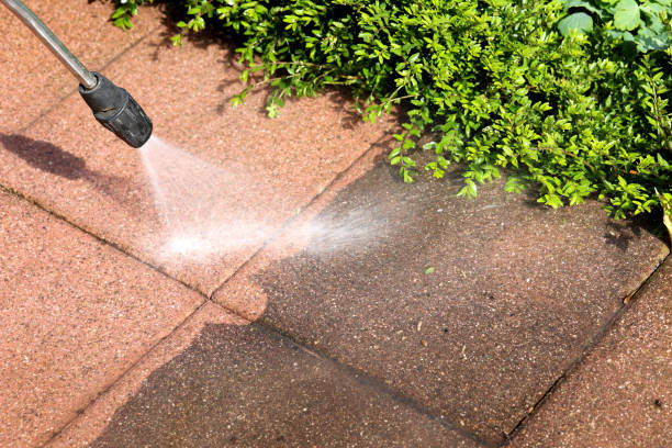 Best House Pressure Washing  in China Spring, TX